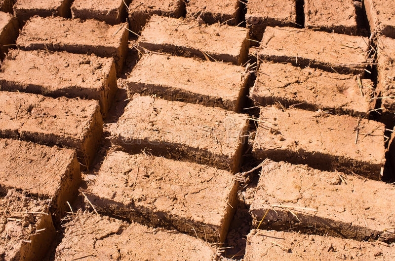 Journey from Clay Bricks to Hollow / Solid Blocks